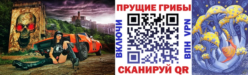 blacksprut ссылка  Заозёрск  Псилоцибиновые грибы Psilocybine cubensis  сколько стоит 